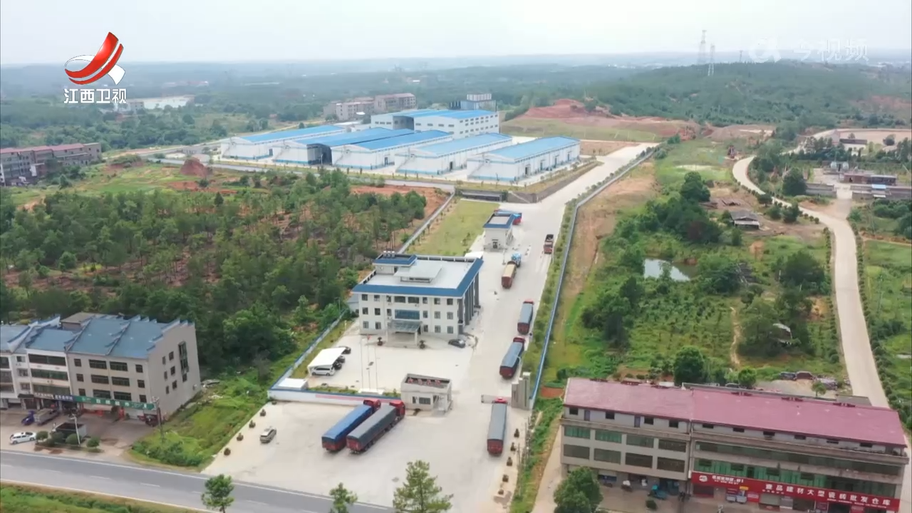 早稻收购约五成 优质优价特征明显