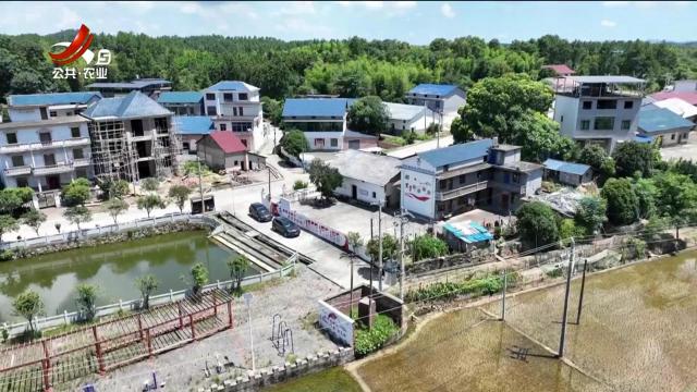 吉安市峡江县：“党建小院”巧解乡村治理“千千结”