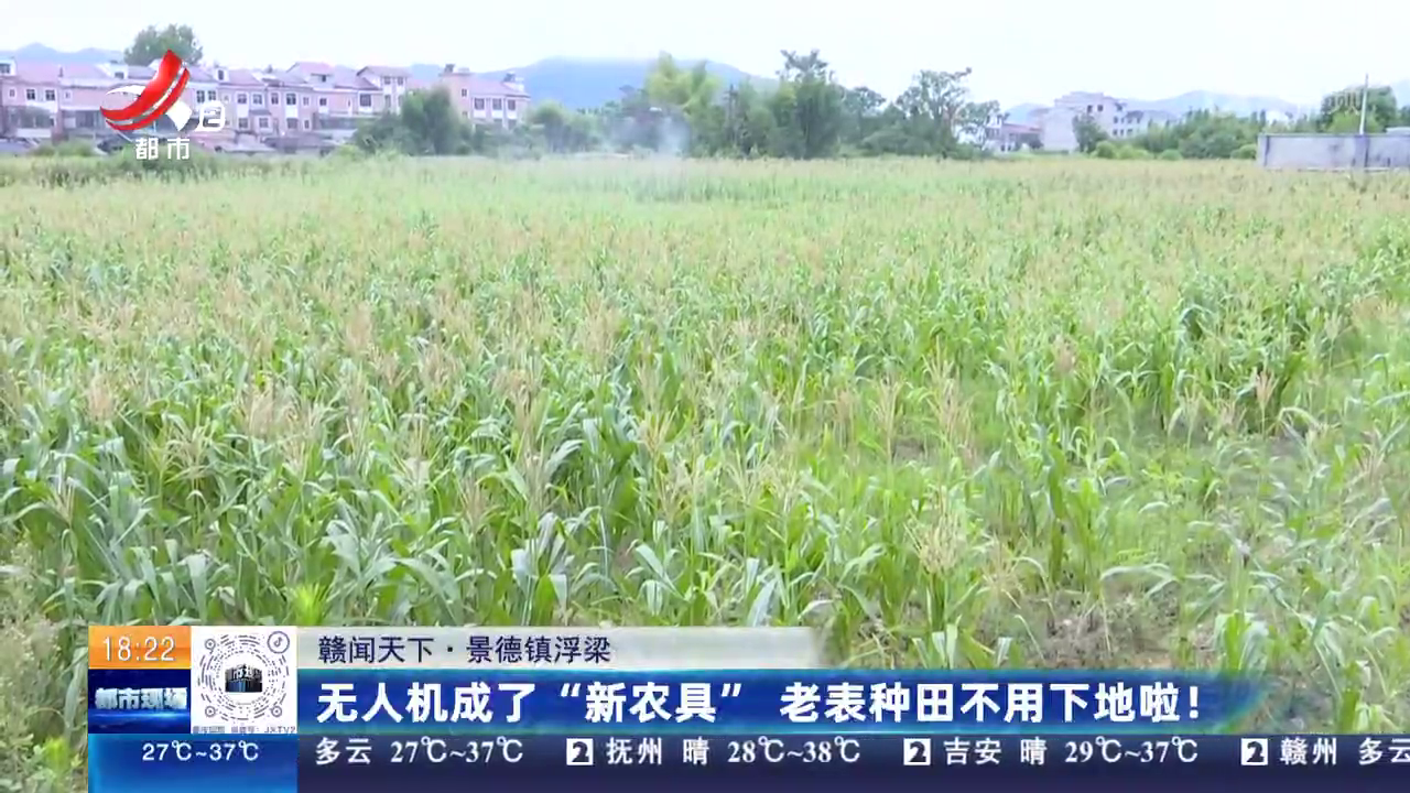 【赣闻天下】景德镇浮梁：无人机成了“新农具” 老表种田不用下地啦！