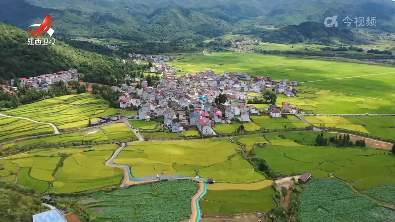 【一线调研】耕地下山林地上山 因地制宜良田粮用