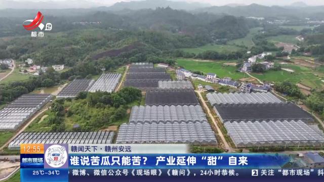 【赣闻天下】赣州安远：谁说苦瓜只能苦？ 产业延伸“甜”自来
