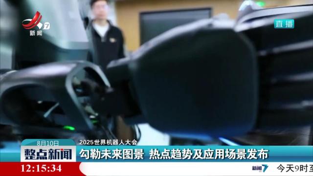 【2025世界机器人大会】勾勒未来图景 热点趋势及应用场景发布
