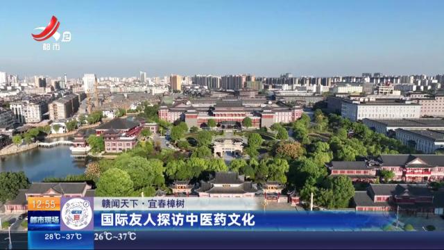 【赣闻天下】宜春樟树：国际友人探访中医药文化