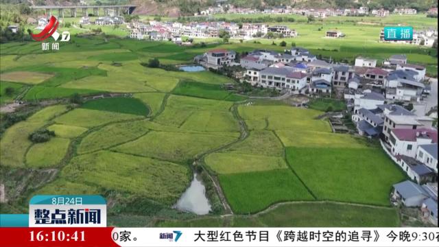 整点新闻20250824 16:00