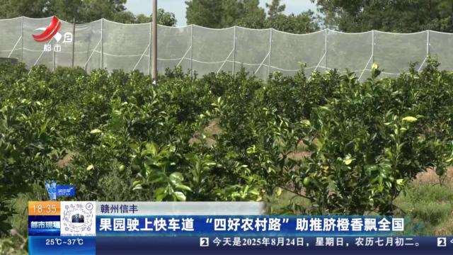 赣州信丰：果园驶上快车道 “四好农村路”助推脐橙香飘全国