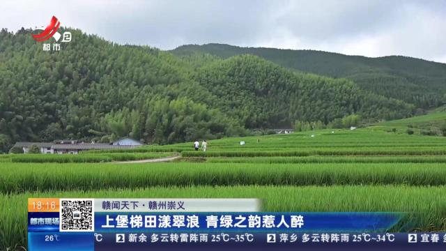 【赣闻天下】赣州崇义：上堡梯田漾翠浪 青绿之韵惹人醉