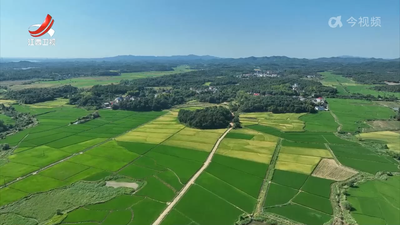 精准调水保灌溉