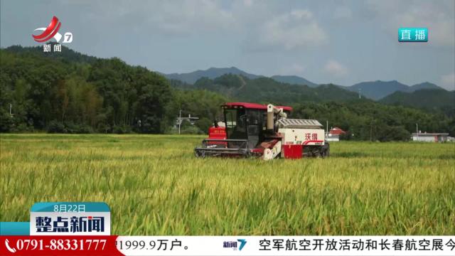 今年全国早稻总产量达570.3亿斤