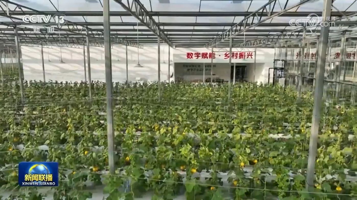 【新思想引领新征程】数字乡村建设助力农业农村现代化 