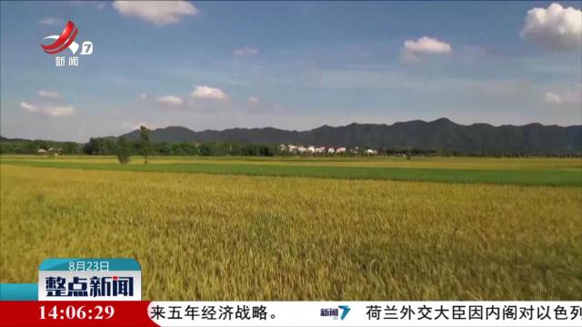 整点新闻20250823 14：00
