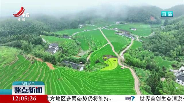 整点新闻20250816 12:00