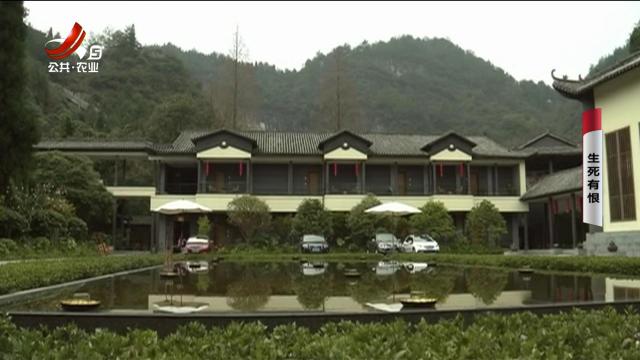 乡村栏目剧场20250803 生死有恨