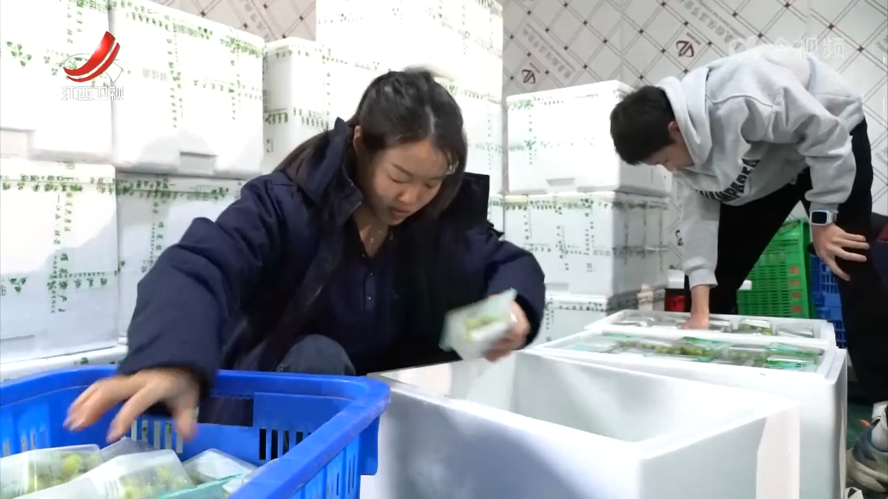 【干出好年景 拼出好气象·经济一线蹲点调研】广昌白莲：闯进新赛道 孕育大产业