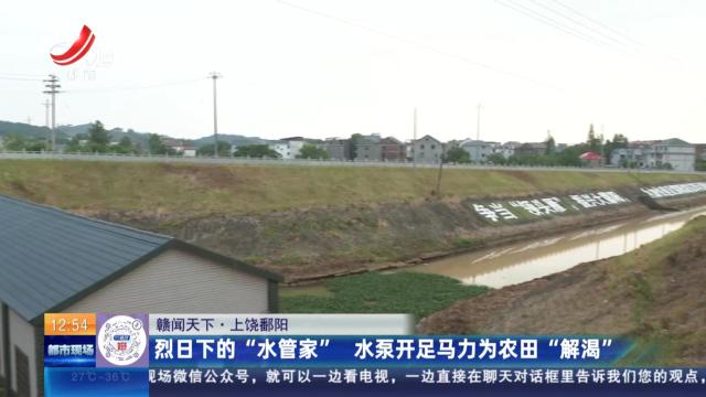 【赣闻天下】上饶鄱阳：烈日下的“水管家” 水泵开足马力为农田“解渴”