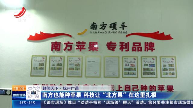 【赣闻天下】抚州广昌：南方也能种苹果 科技让“北方果”在这里扎根