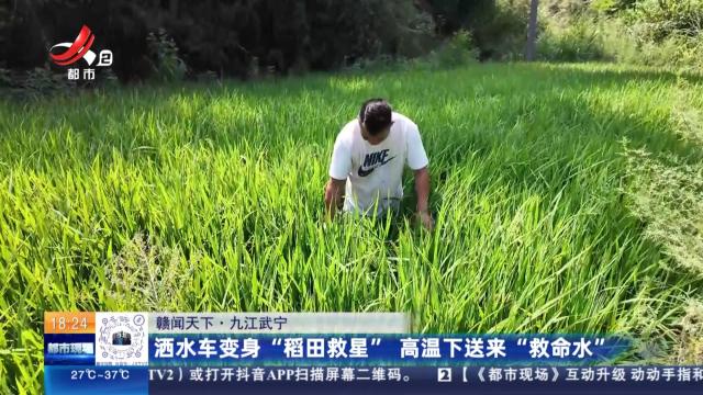 【赣闻天下】九江武宁：洒水车变身“稻田救星” 高温下送来“救命水”