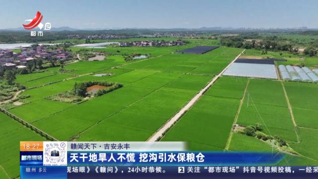 【赣闻天下】吉安永丰：天干地旱人不慌 挖沟引水保粮仓