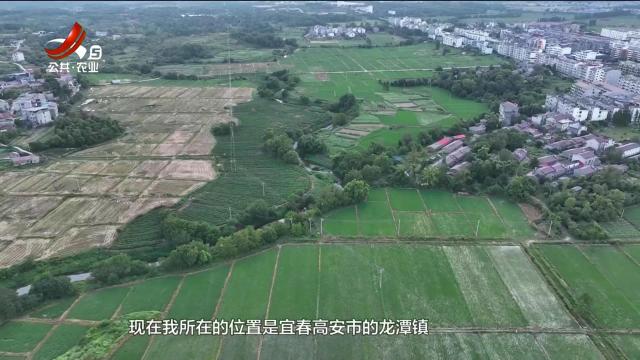 五哥帮忙团20250821