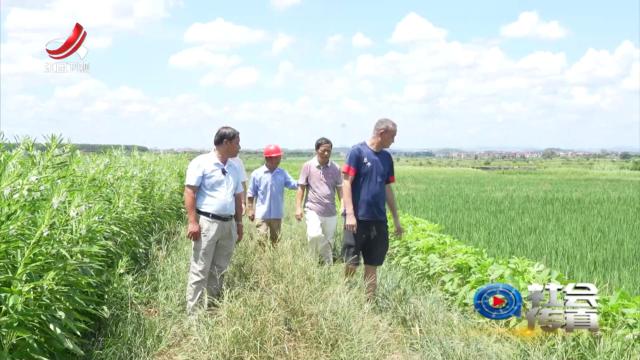 社会传真20250827 “解渴”有方 全力抗旱