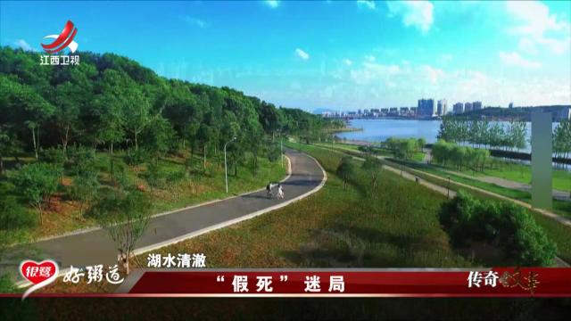 传奇故事20250821 “假死”迷局