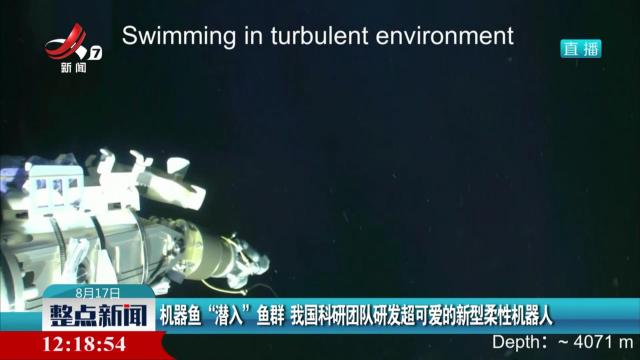 机器鱼“潜入”鱼群 我国科研团队研发超可爱的新型柔性机器人