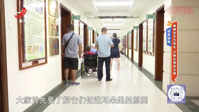 地宝当家20250812