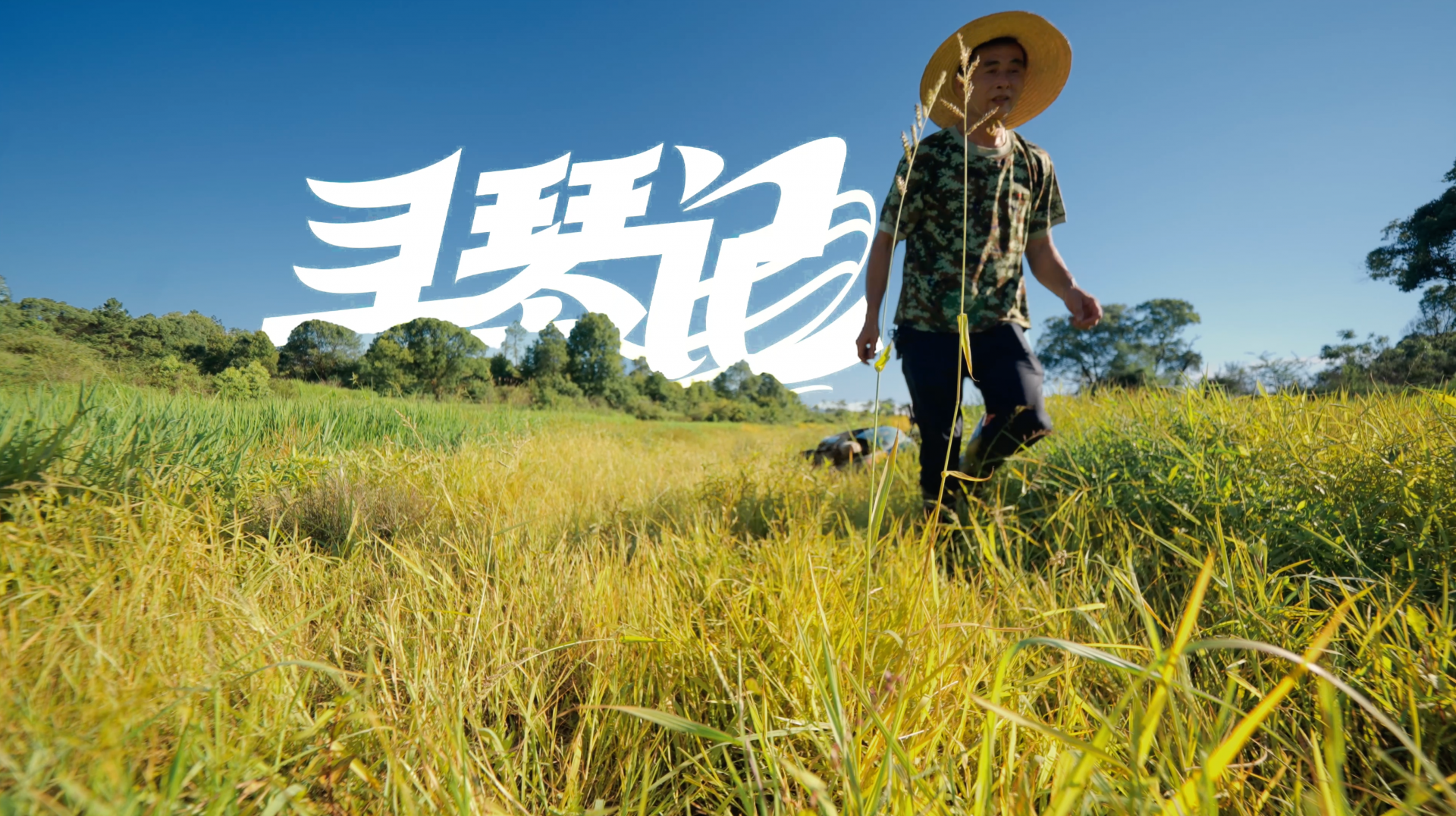 寻琴记——江西小镇用吉他“拨动”全球产业链