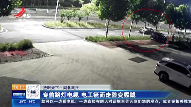 【放眼天下】湖北武穴：专偷路灯电缆 电工铤而走险变蟊贼
