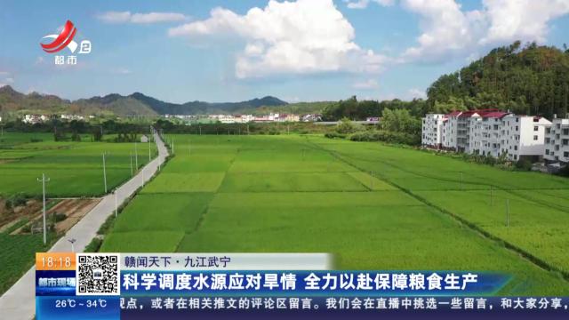 【赣闻天下】九江武宁：科学调度水源应对旱情 全力以赴保障粮食生产