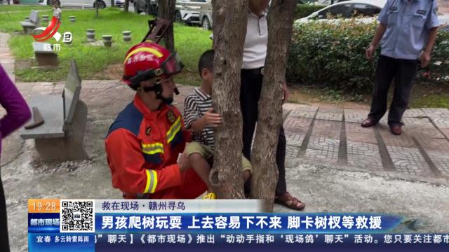 【救在现场】赣州寻乌：男孩爬树玩耍 上去容易下不来 脚卡树杈等救援