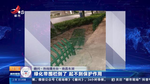 【赣问·热线曝光台】南昌东湖：绿化带围栏倒了 起不到保护作用