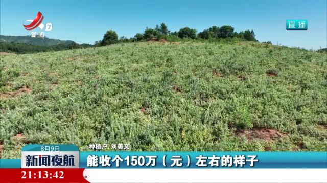 夏收映红“致富路”