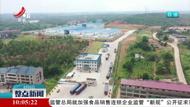 早稻收购约五成 优质优价特征明显