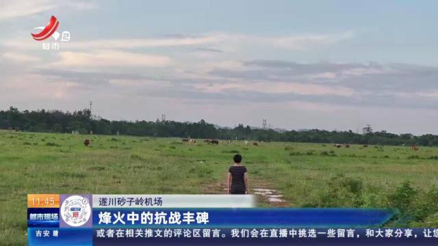 【遂川砂子岭机场】烽火中的抗战丰碑