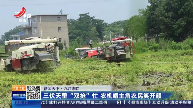 【赣闻天下】九江湖口：三伏天里“双抢”忙 农机唱主角农民笑开颜