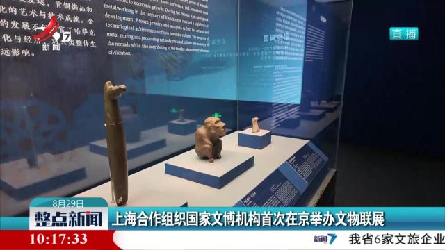 上海合作组织国家文博机构首次在京举办文物联展