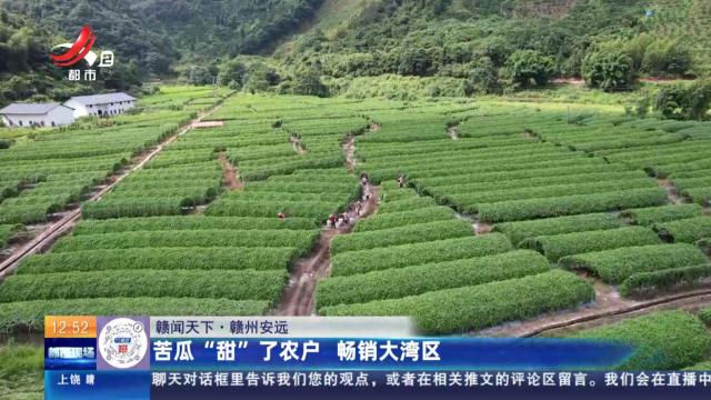【赣闻天下】赣州安远：苦瓜“甜”了农户 畅销大湾区