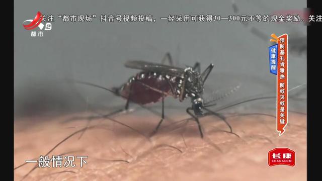 健康提醒——预防基孔肯雅热 防蚊灭蚊是关键