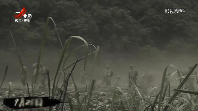 【铭记历史 缅怀先烈】德安：传承抗战精神 谱写富民新篇章