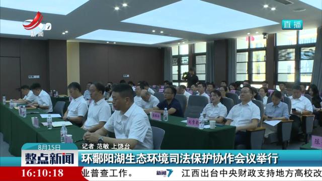 整点新闻20250815 16:00