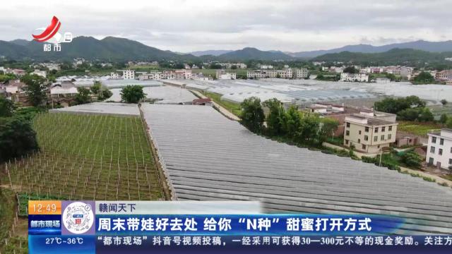 【赣闻天下】周末带娃好去处 给你“N种”甜蜜打开方式