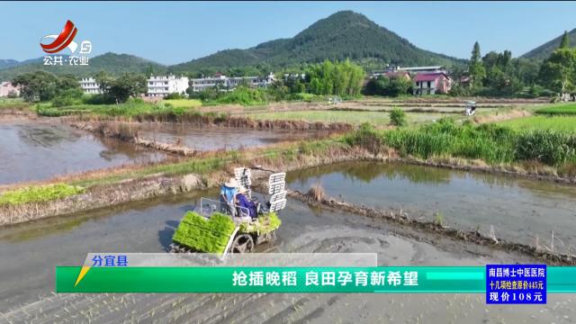 三农头条20250805