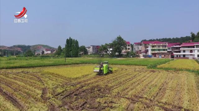 社会传真20250803 江西：产业兴农 富民有路