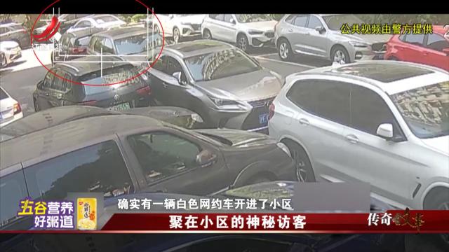 传奇故事20250819 聚在小区的神秘访客