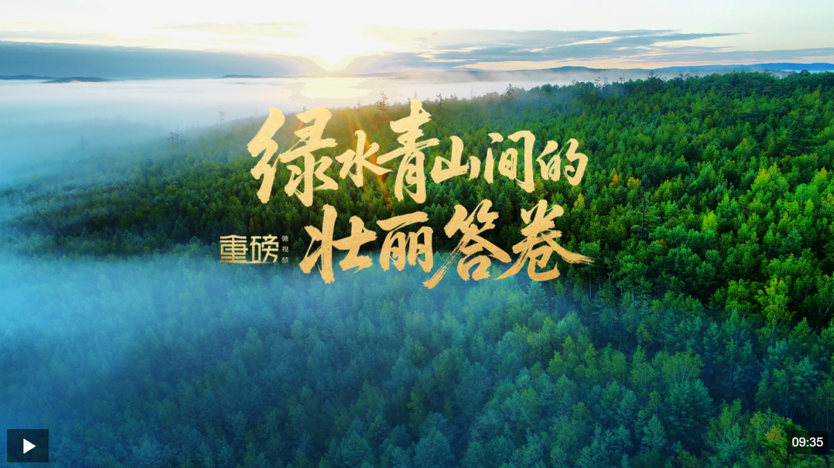 重磅微视频丨绿水青山间的壮丽答卷