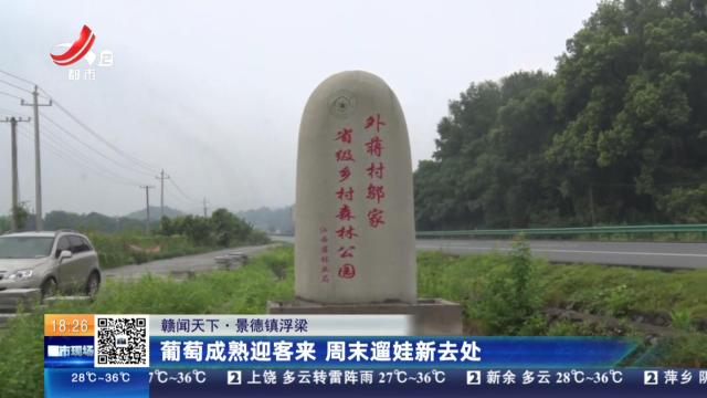 【赣闻天下】景德镇浮梁：葡萄成熟迎客来 周末遛娃新去处