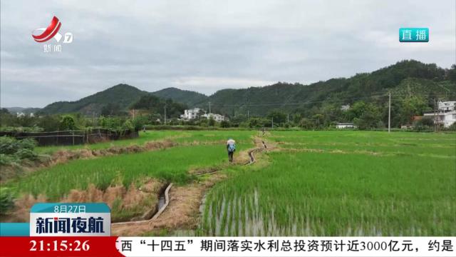 科技赋能 打造智慧农业新标杆