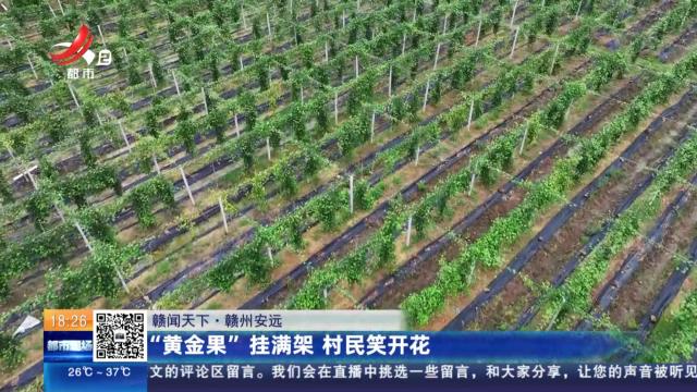 都市现场20250812