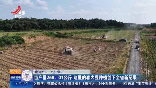 【赣闻天下】九江湖口：亩产量268.01公斤 这里的春大豆种植创下全省新纪录
