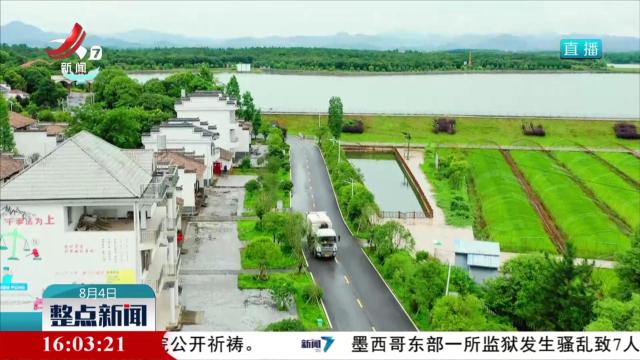 整点新闻20250804 16:00